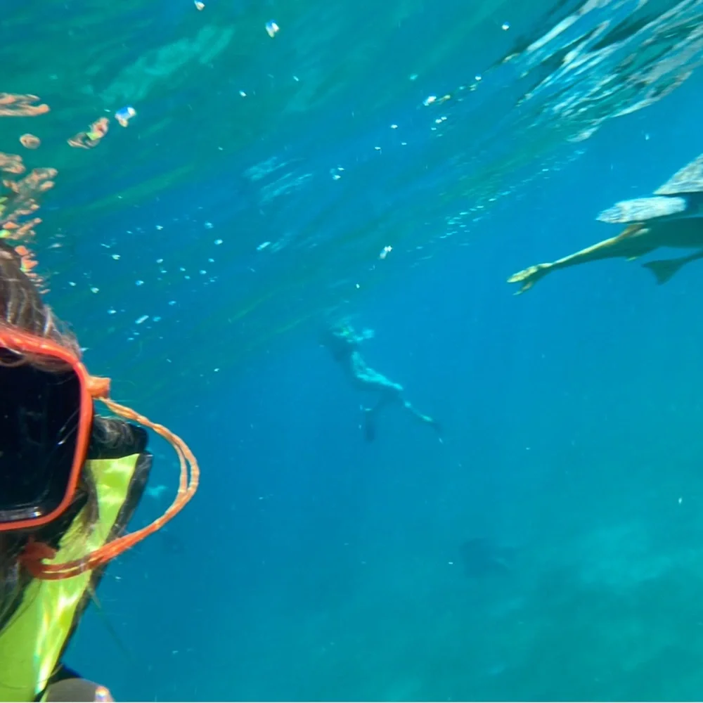 Waterproof Phone Case